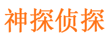 城固市调查公司